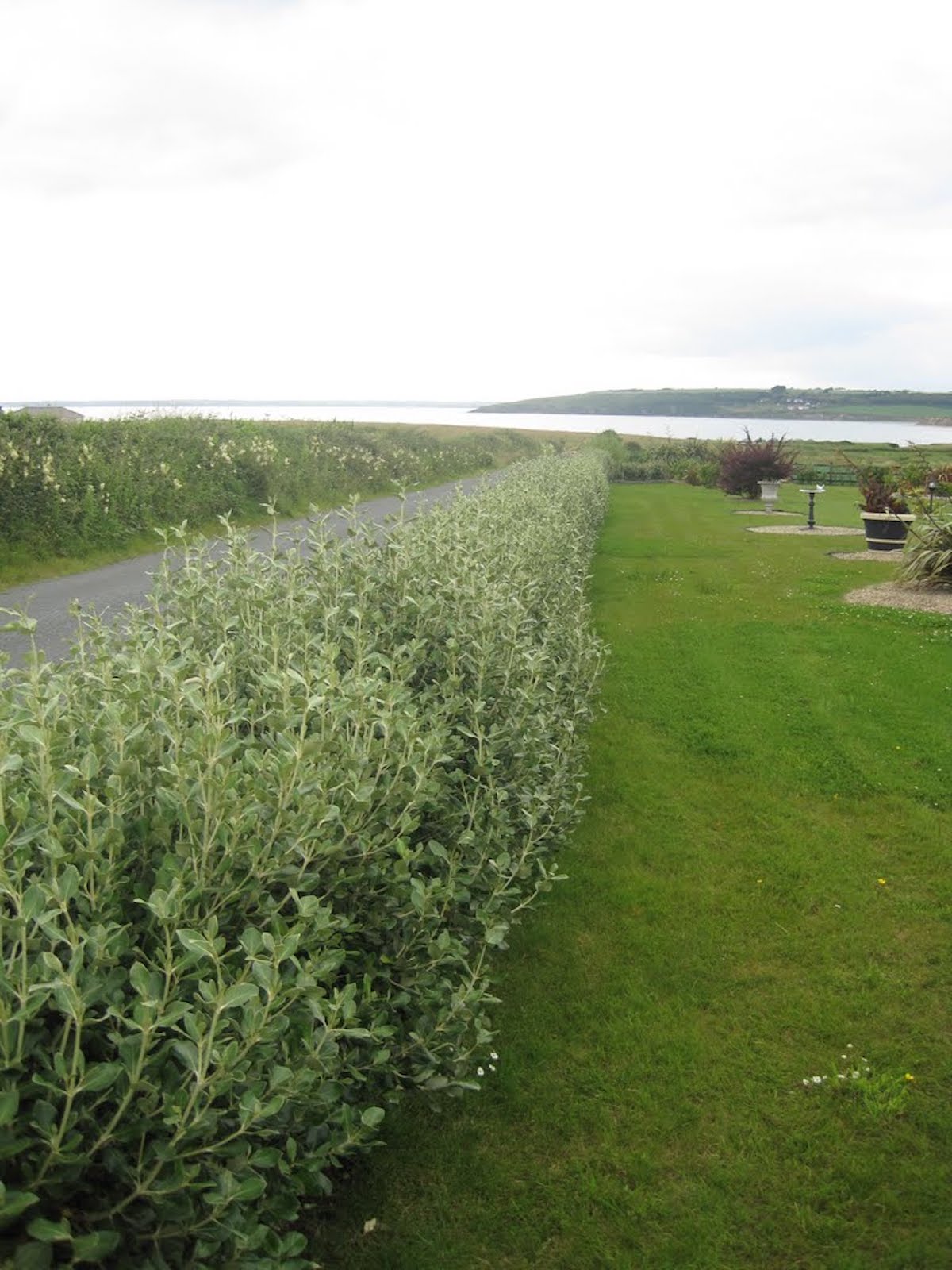 ?!label-Indicative photo