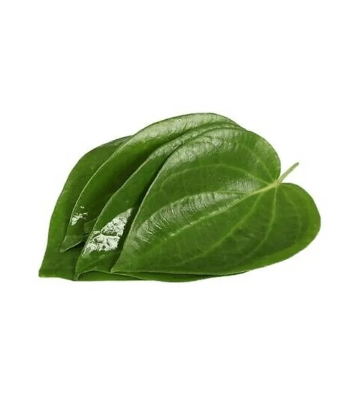 ?!label-Indicative photo