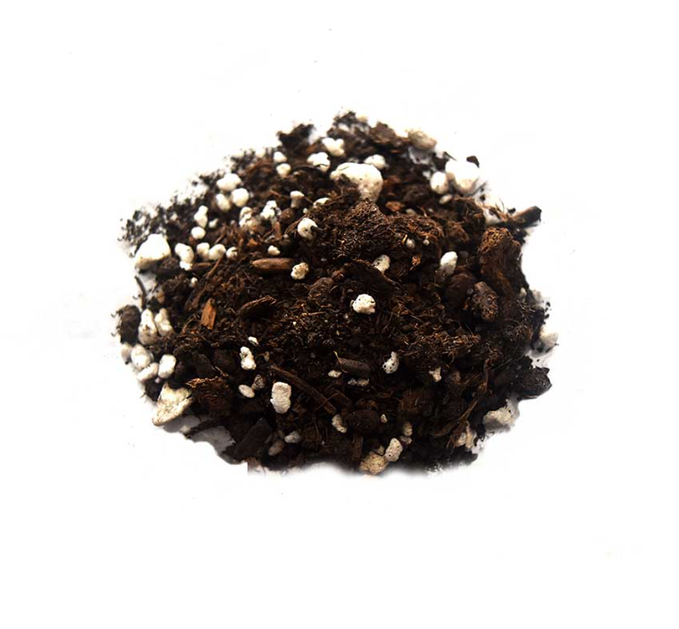 Potting Mix (Indoor & Outdoor) - Eco Box