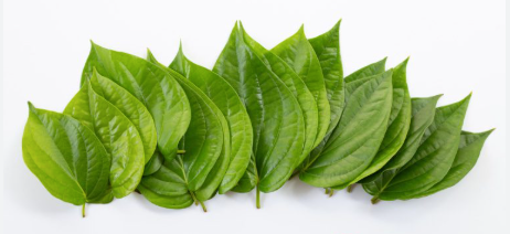 ?!label-Indicative photo