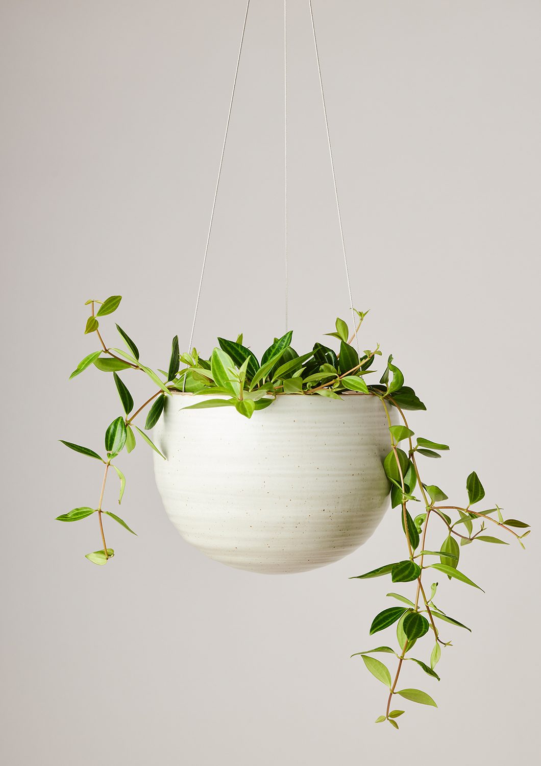 Spherical Hanging Planter