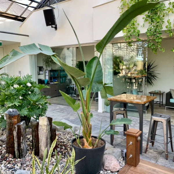 ?!label-Indicative photo