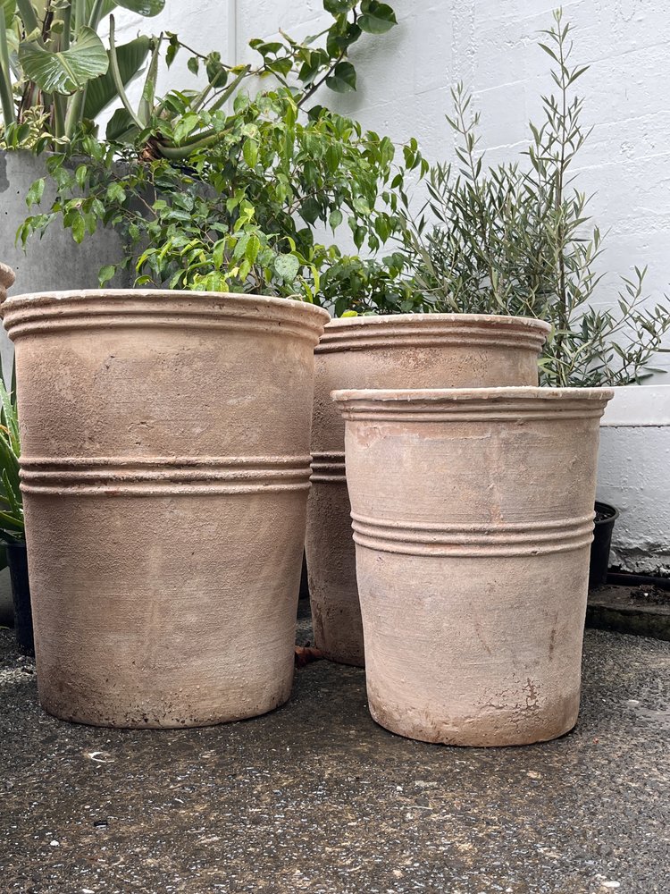 Antique Chocolate Terracotta Tall Planters