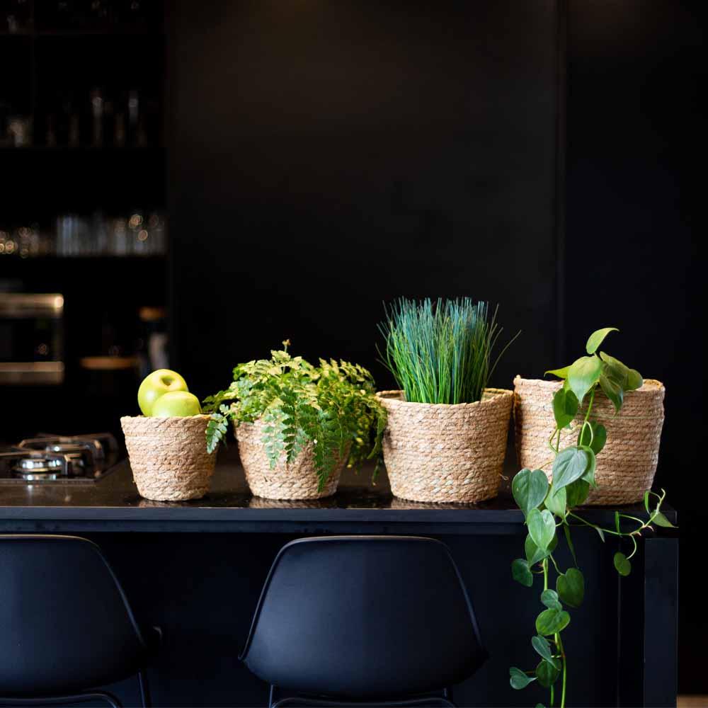 ?!label-Indicative photo