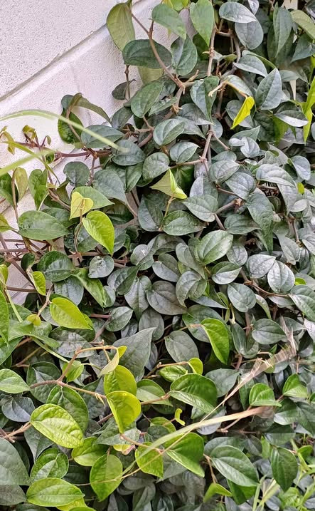 ?!label-Indicative photo