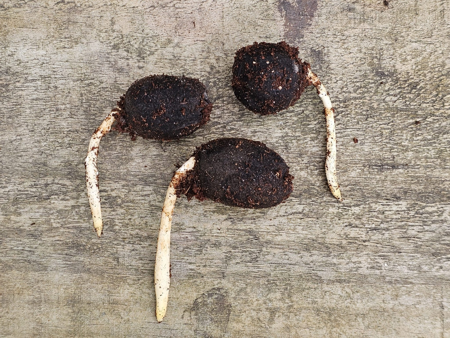 ?!label-Indicative photo