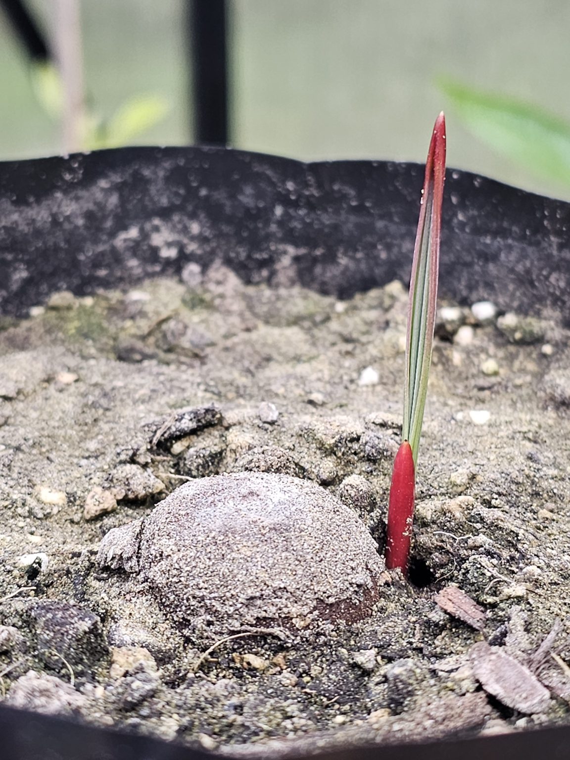 ?!label-Indicative photo