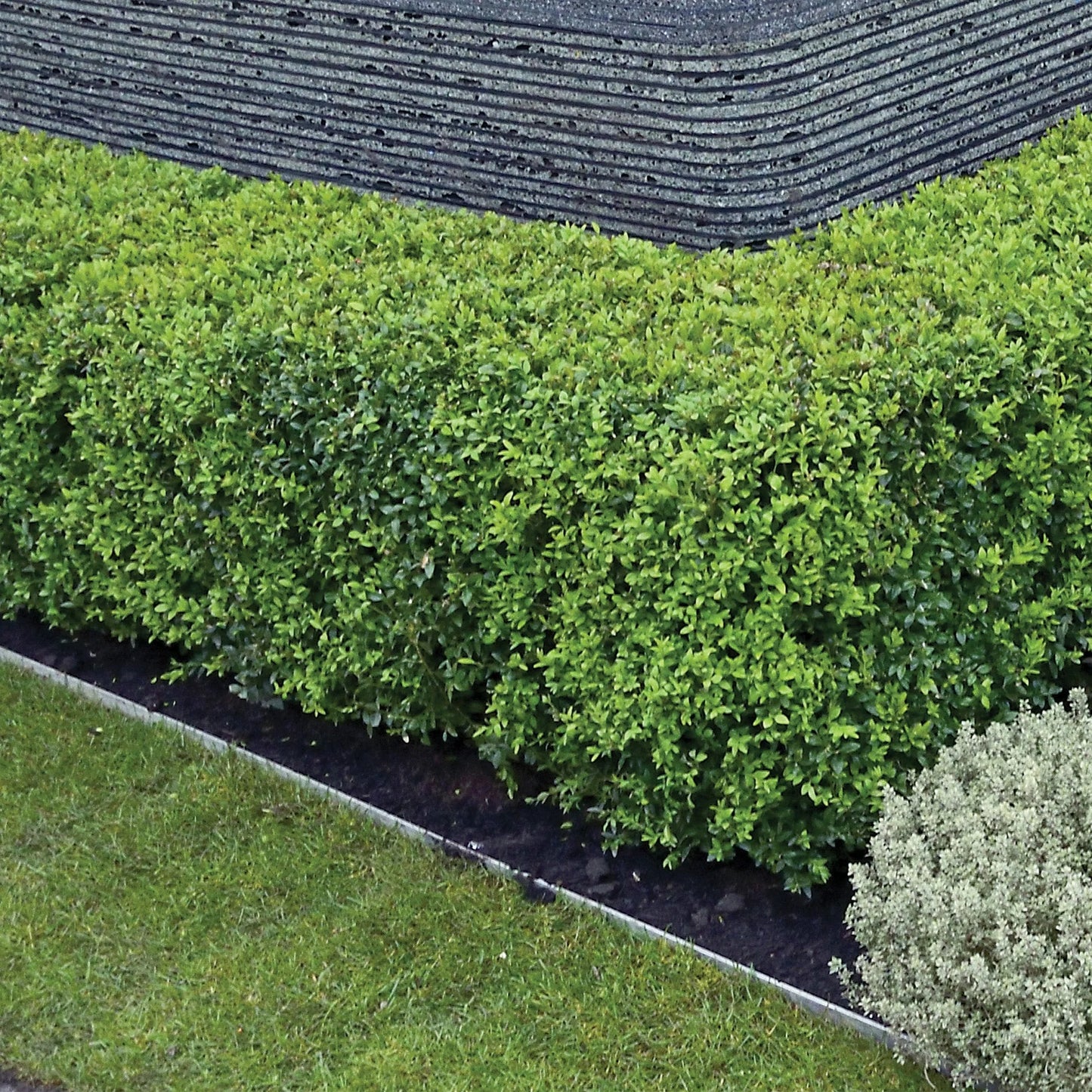 ?!label-Indicative photo