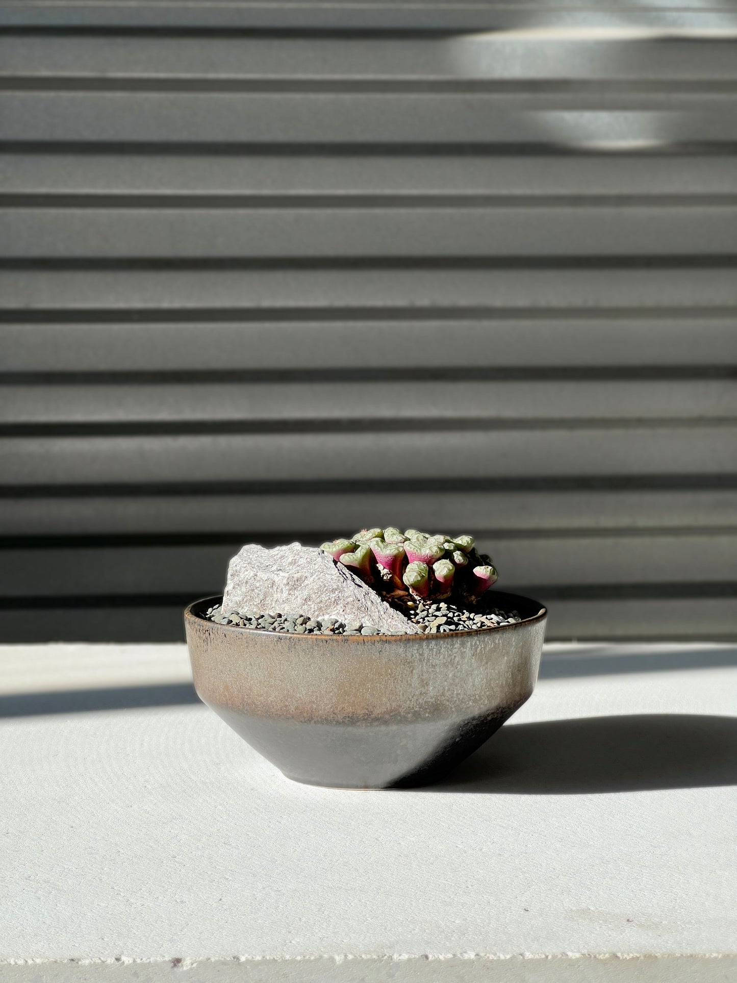 Ceto bowl