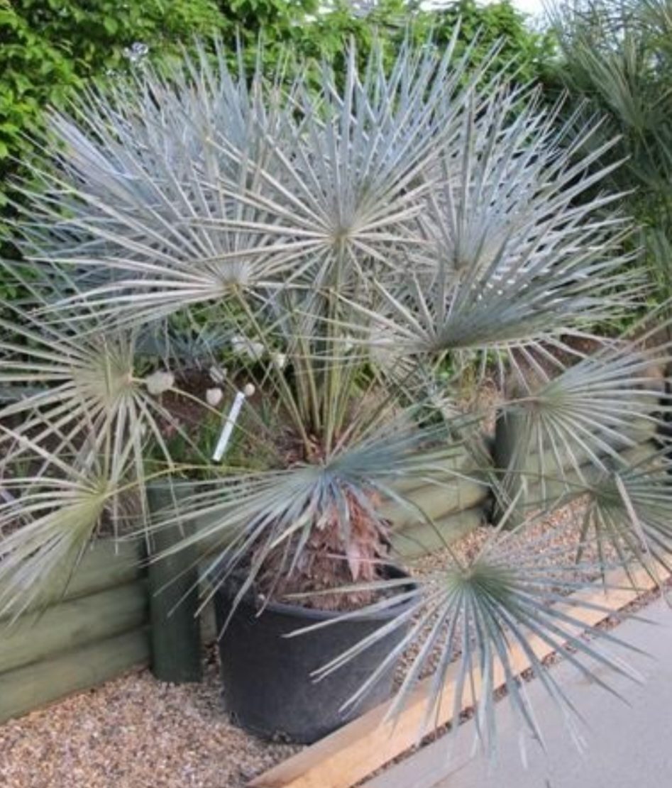 ?!label-Indicative photo