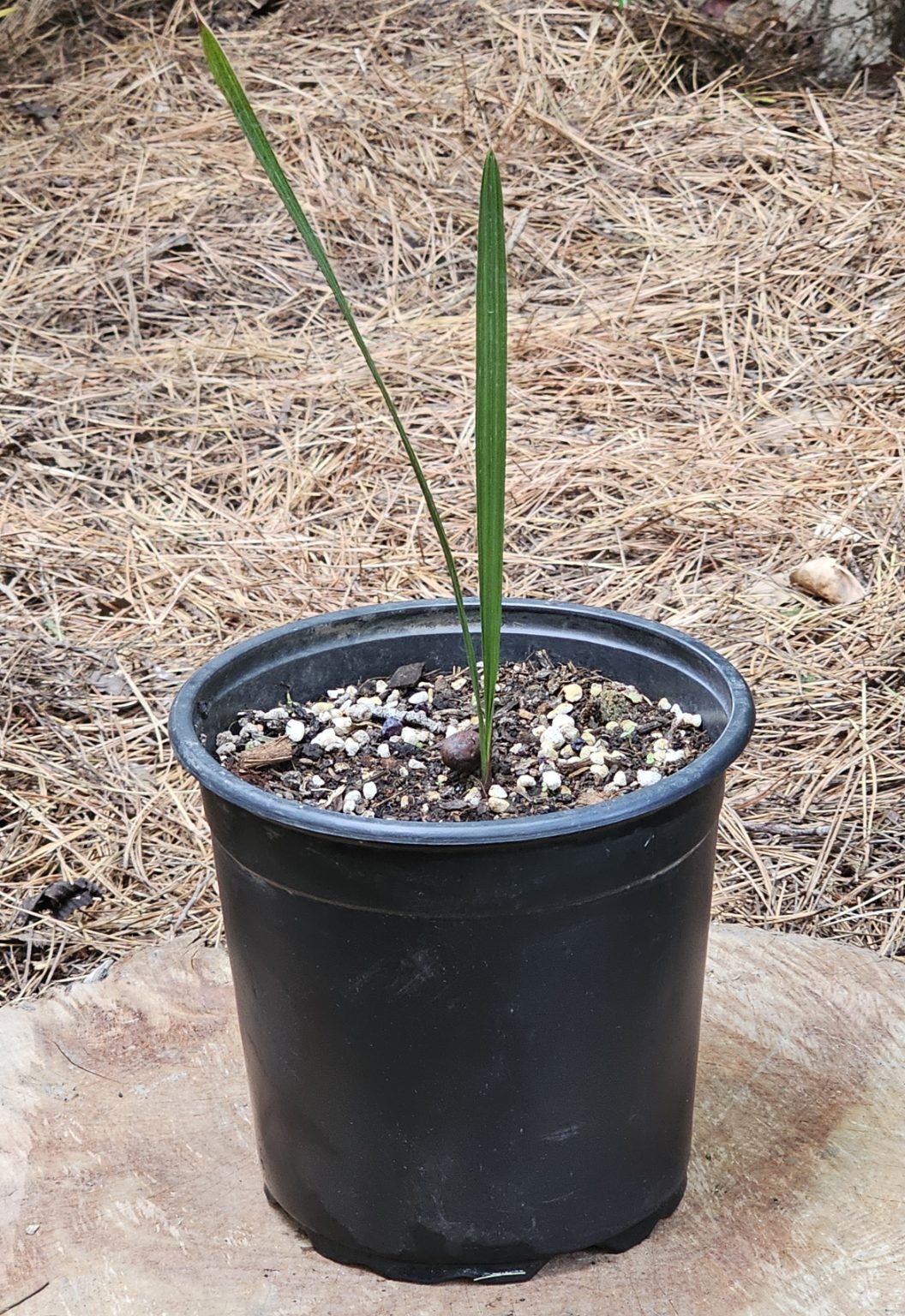 ?!label-Indicative photo