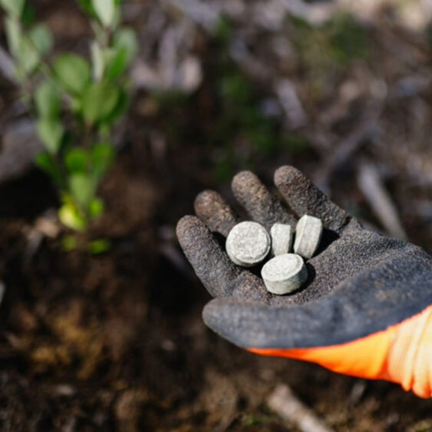 The Gardener Latex Glove – Tough, Comfy, and Trusted by Our Team