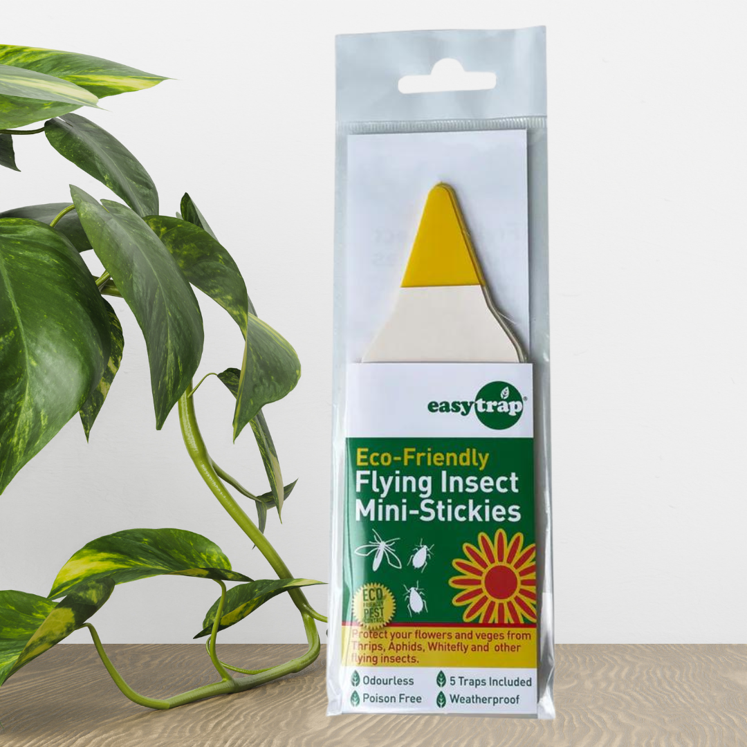 EasyTrap Stickiy traps (2).png