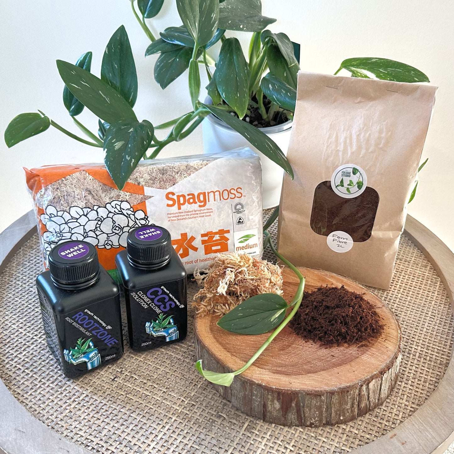 Plant Propagation Pack (1)_edited.jpg