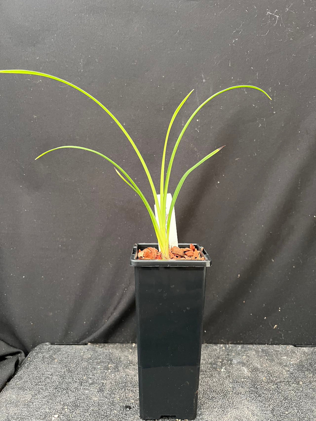 458144fac509b359eaebf1ba11bb057.jpg