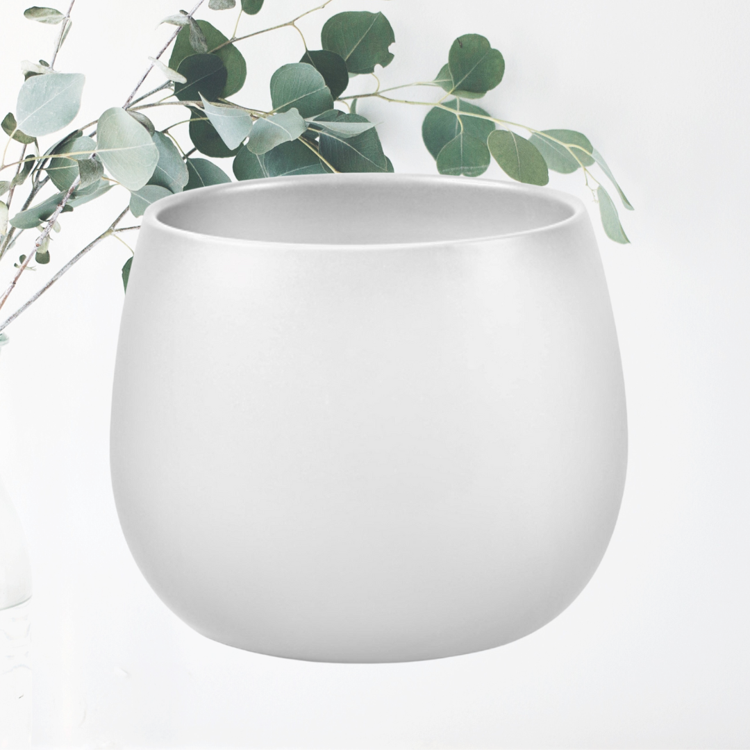 Orchid Pot LSHW H13xD13 (2).png