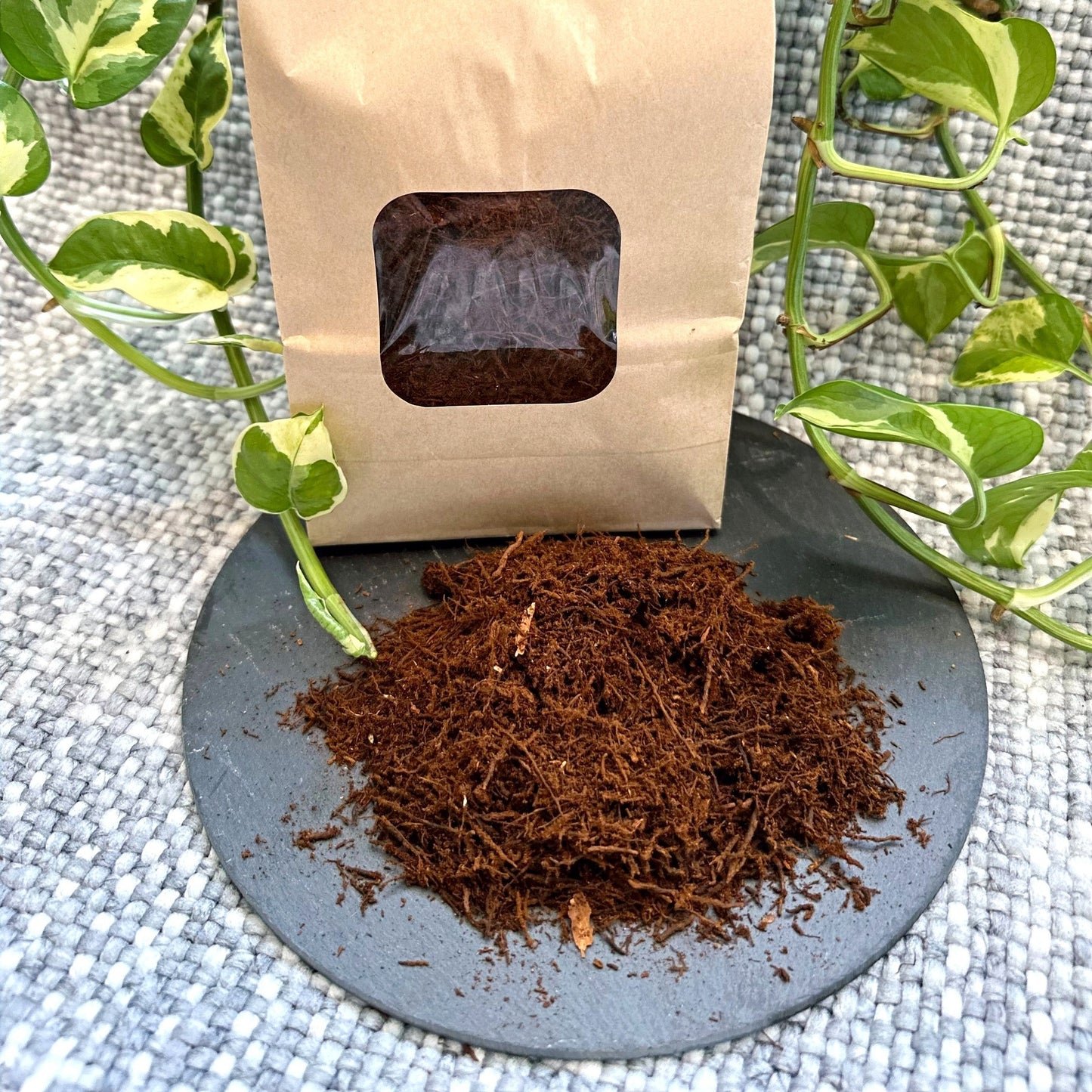 GM Fern Fibre 2L (2)_edited_edited.jpg