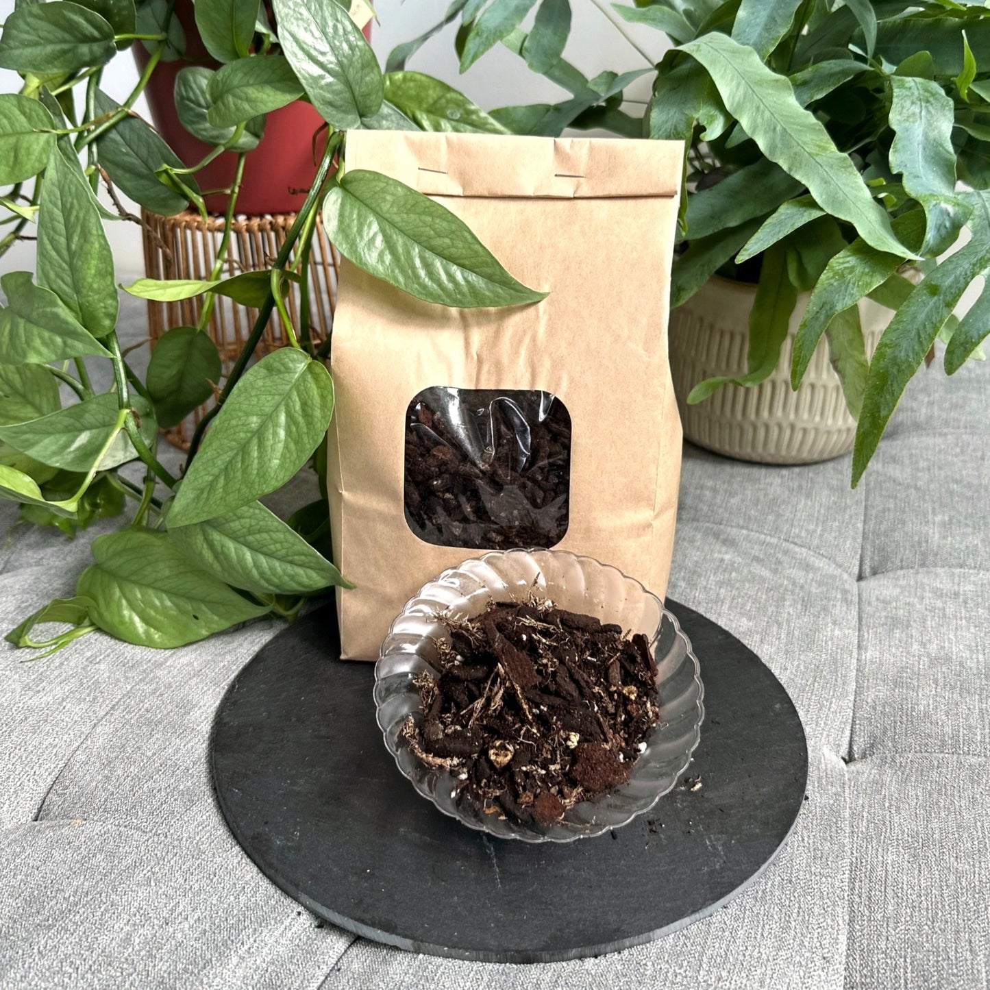 GM Potting Mix 2L (1)_edited_edited.jpg