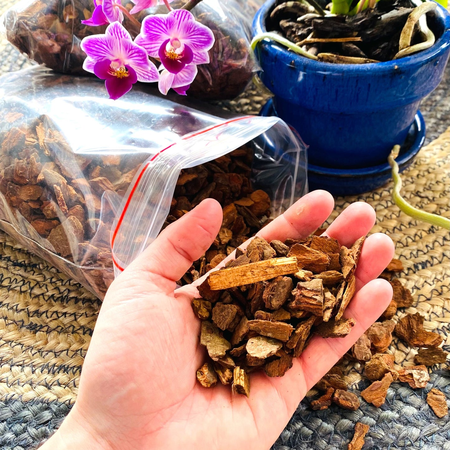 orchid bark_edited_edited.jpg