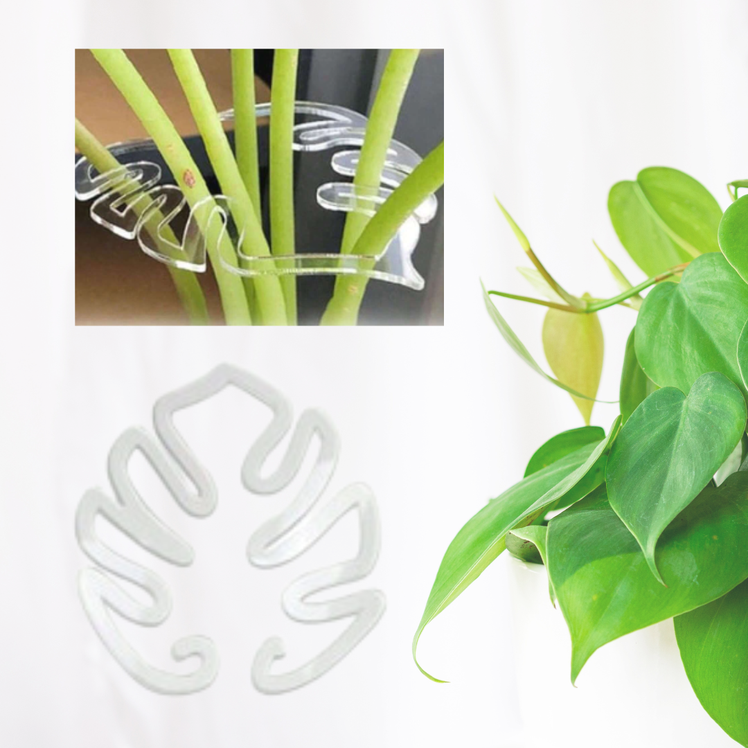Plant Stem Bracket Monstera (1).png