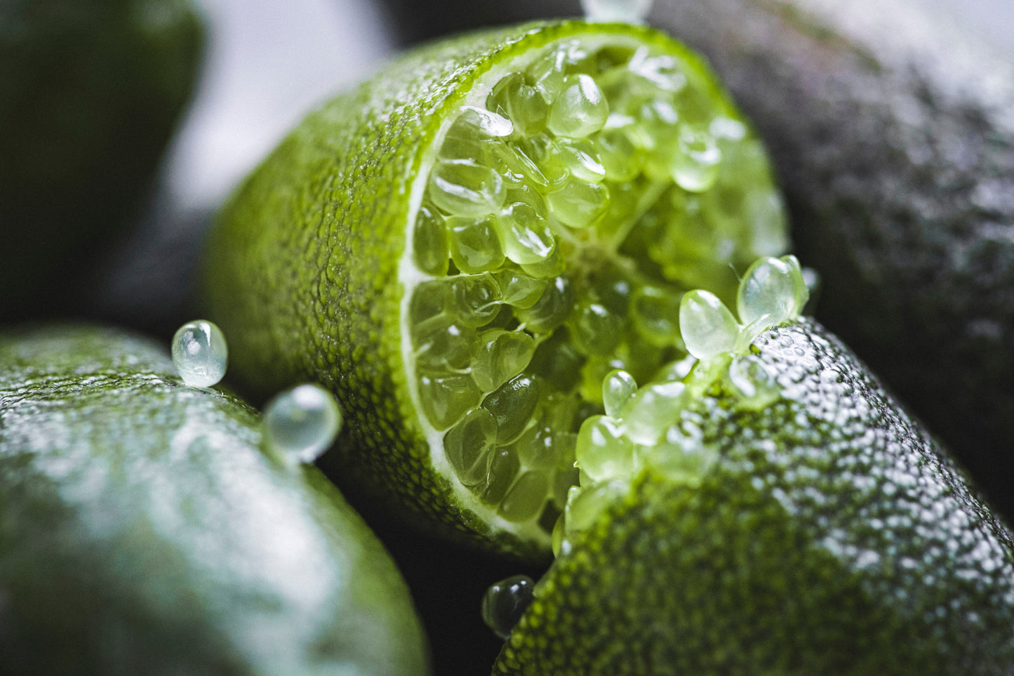 finger-limes-3000x2000-0c9a7807cd686cfbca1f2ec3d808af63.jpg
