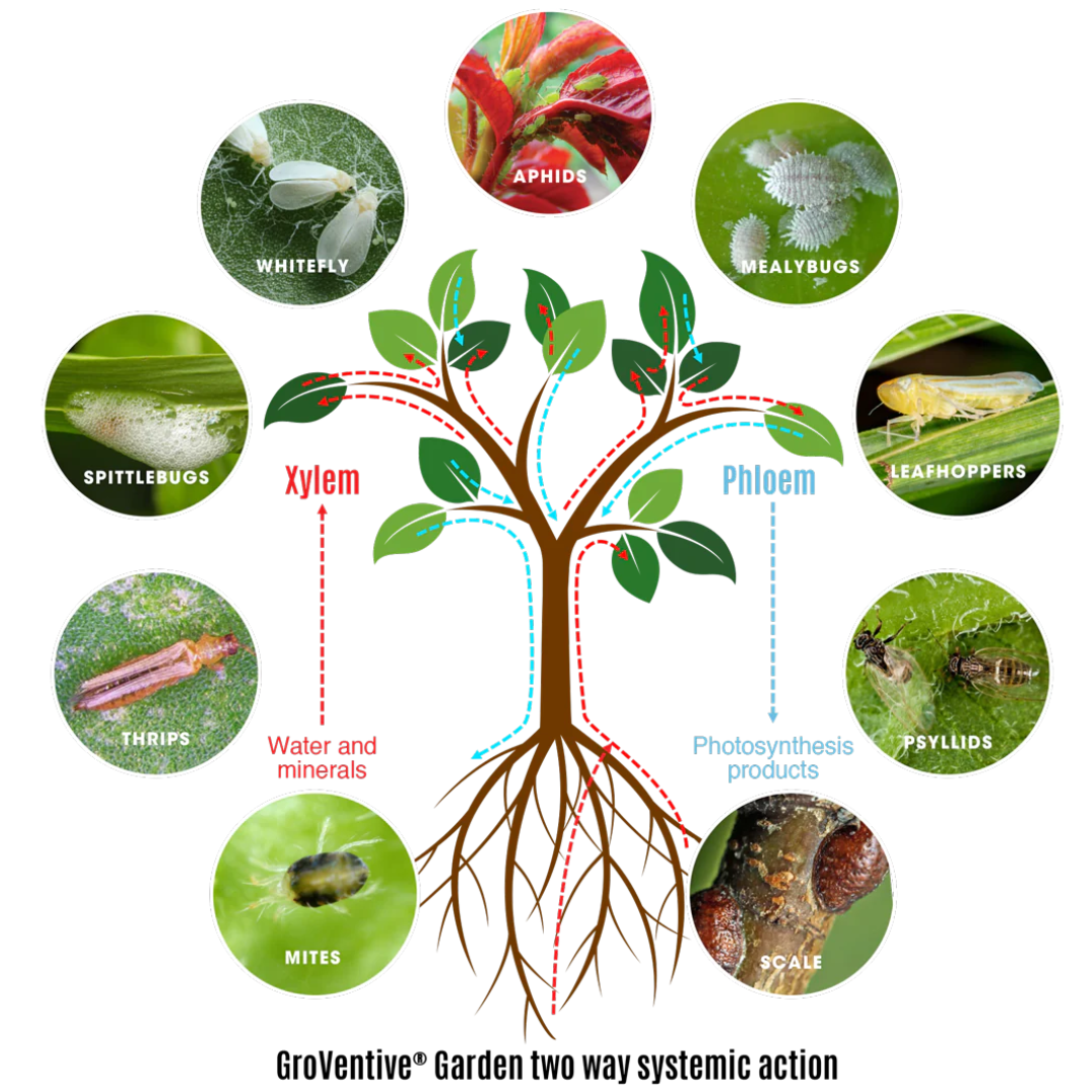 GroVentive systemic insecticide 200ml (3).png
