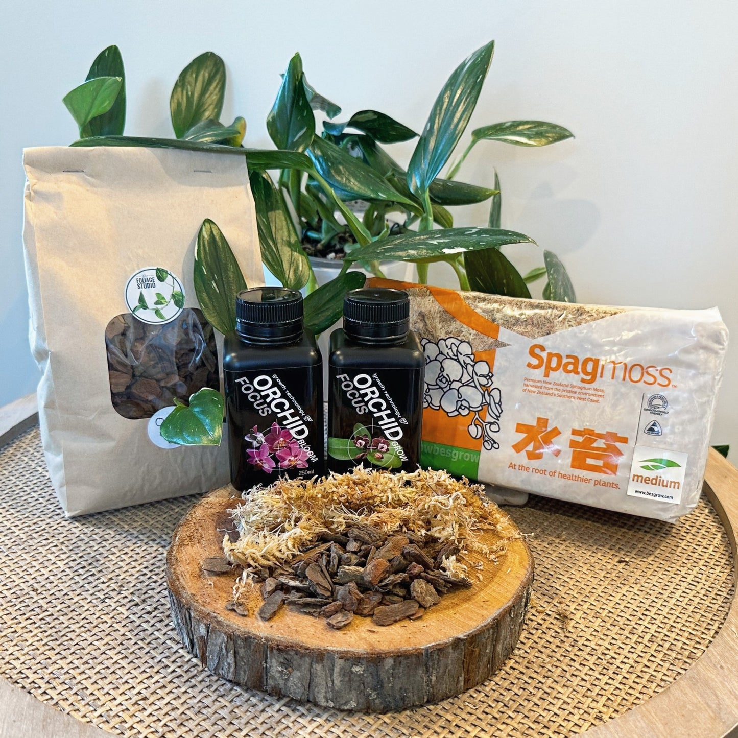 Orchid Pack (1)_edited.jpg