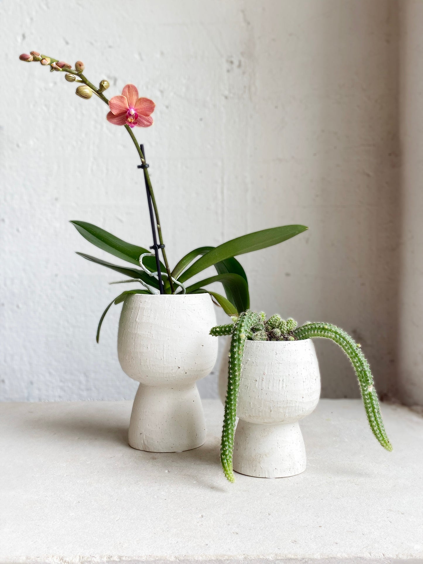 Iris Pedestal