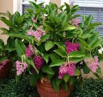 ?!label-Indicative photo