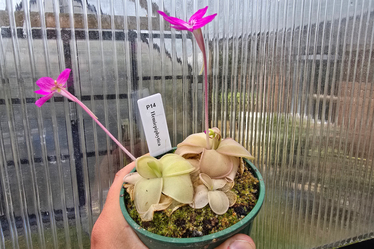 ?!label-Indicative photo