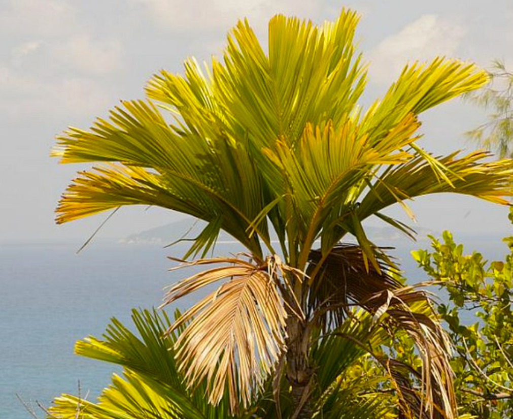 ?!label-Indicative photo