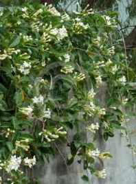 ?!label-Indicative photo