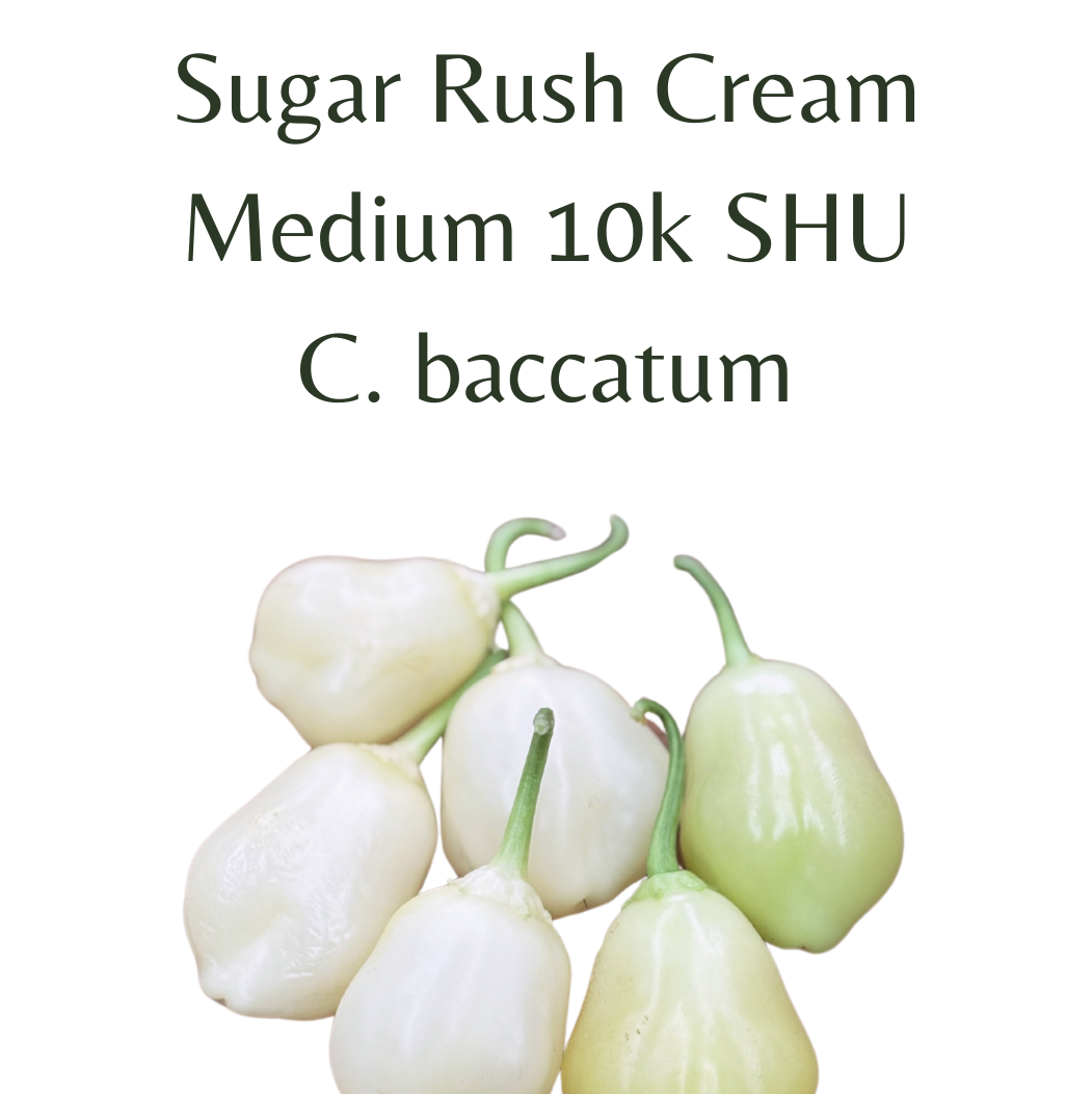 ?!label-Indicative photo