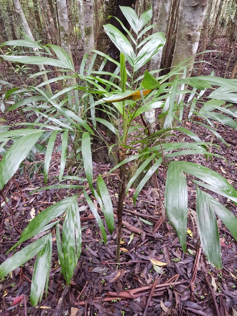 ?!label-Indicative photo