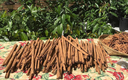 Cinnamon | Grow Your Own in NZ