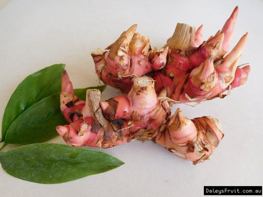 Galangal | Easy To Grow in NZ