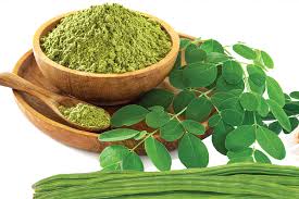 Moringa | NZ Growing Guide