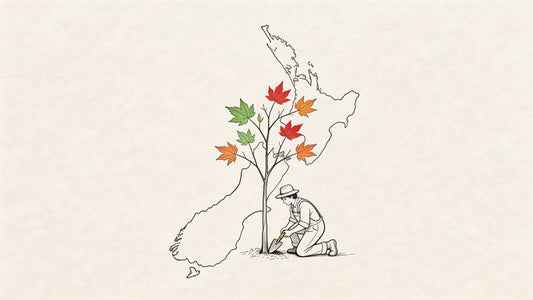 Acer Trees NZ: A Gardener's Complete Guide