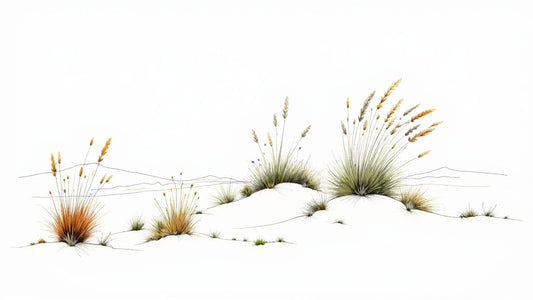 Guide to Native New Zealand Grasses