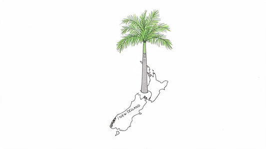 Royal Cuban Palm Roystonea Regia: An NZ Growth Guide