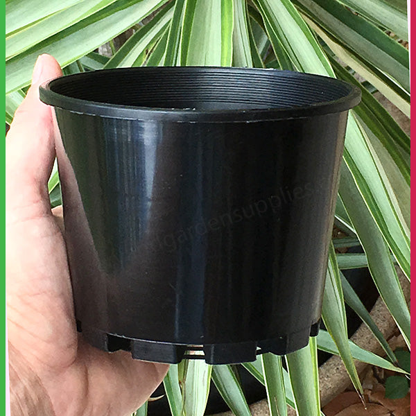 125mm Squat Plant Pot