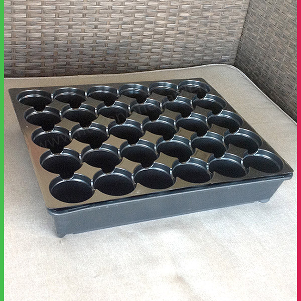 30 Cell Round Tray