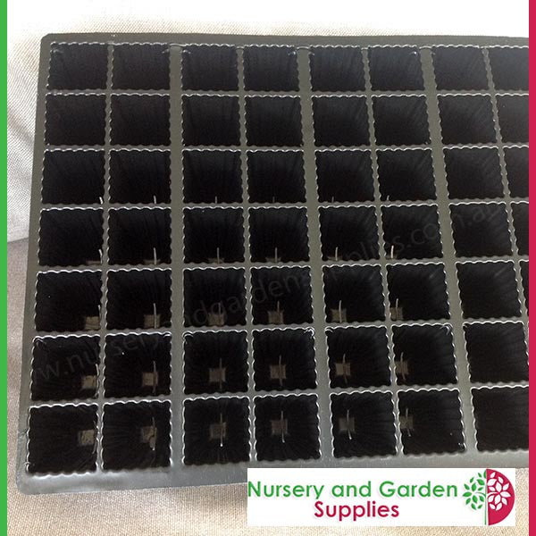56 Cell Tray