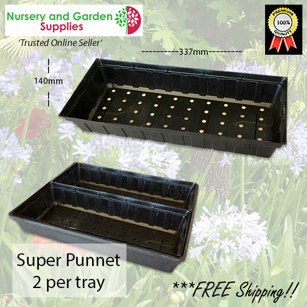Super Punnet - fits 2 per tray