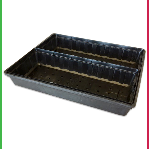 Super Punnet - fits 2 per tray