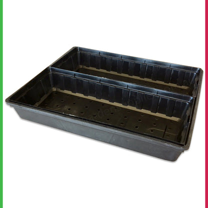 Super Punnet - fits 2 per tray