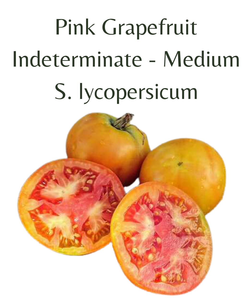 Pink Grapefruit Tomato (10 seeds)