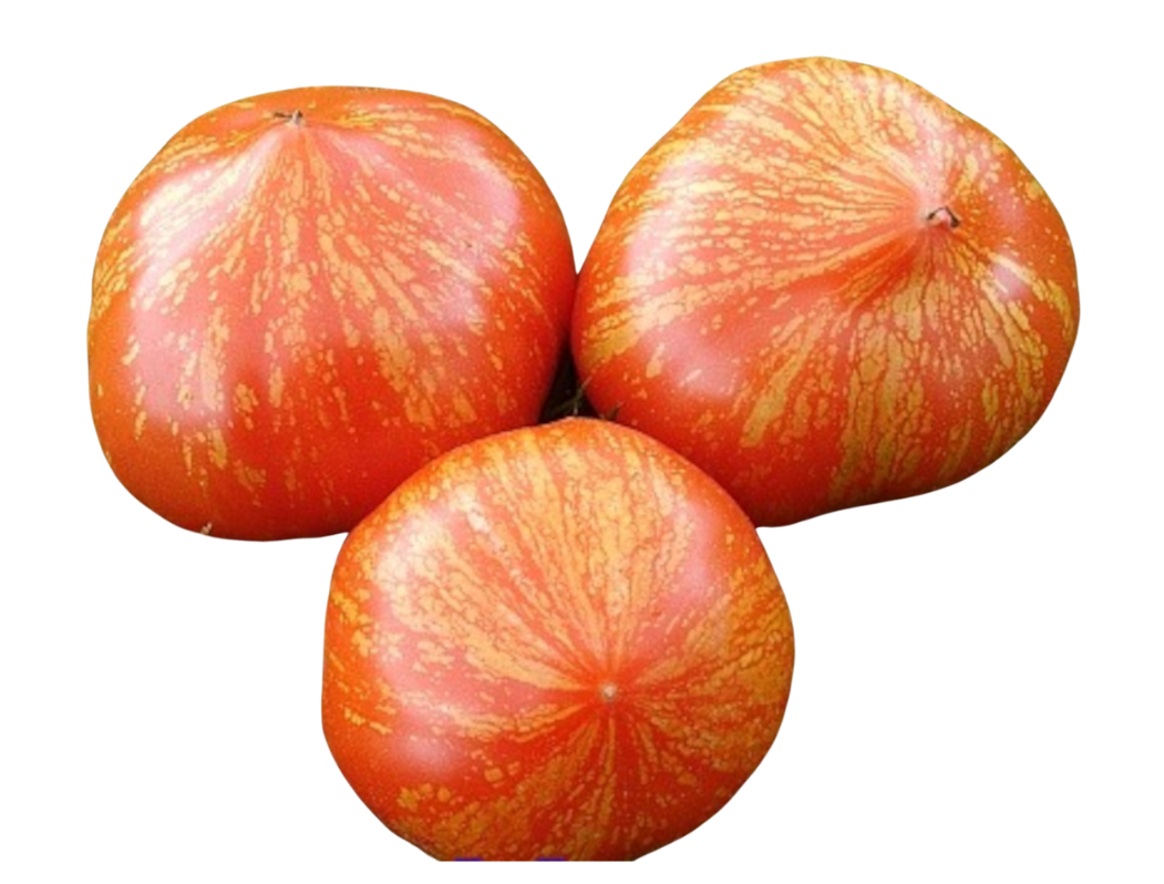 ?!label-Indicative photo