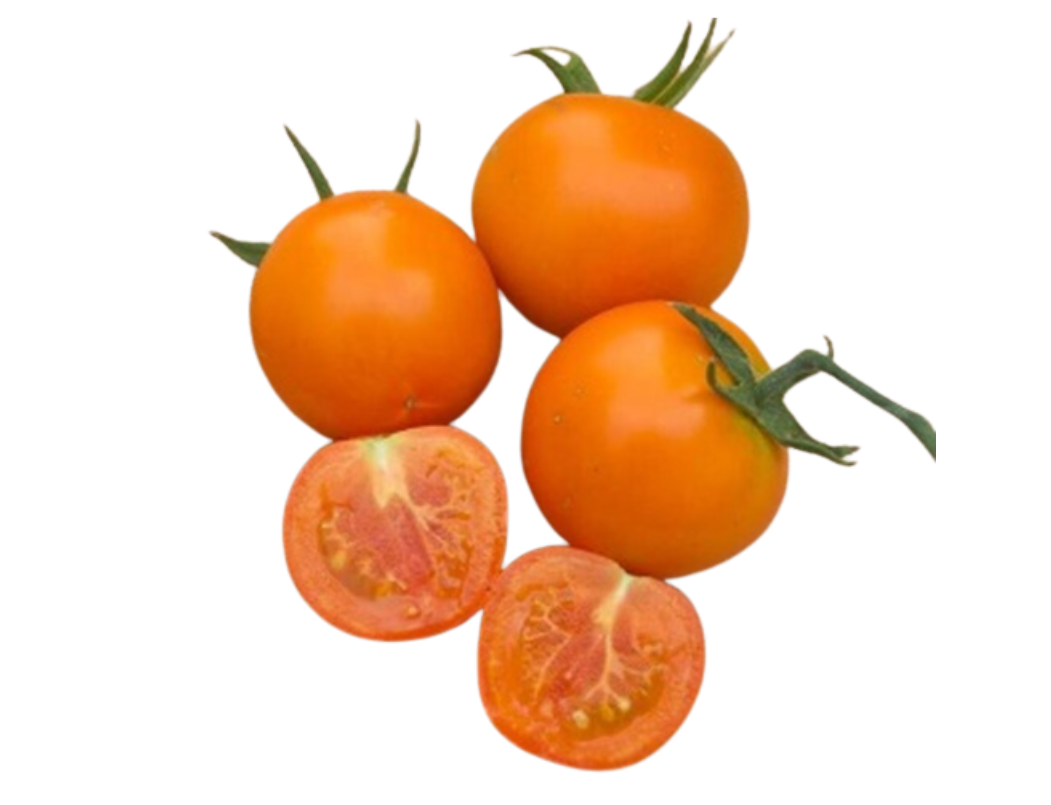 ?!label-Indicative photo