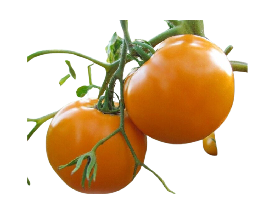 ?!label-Indicative photo